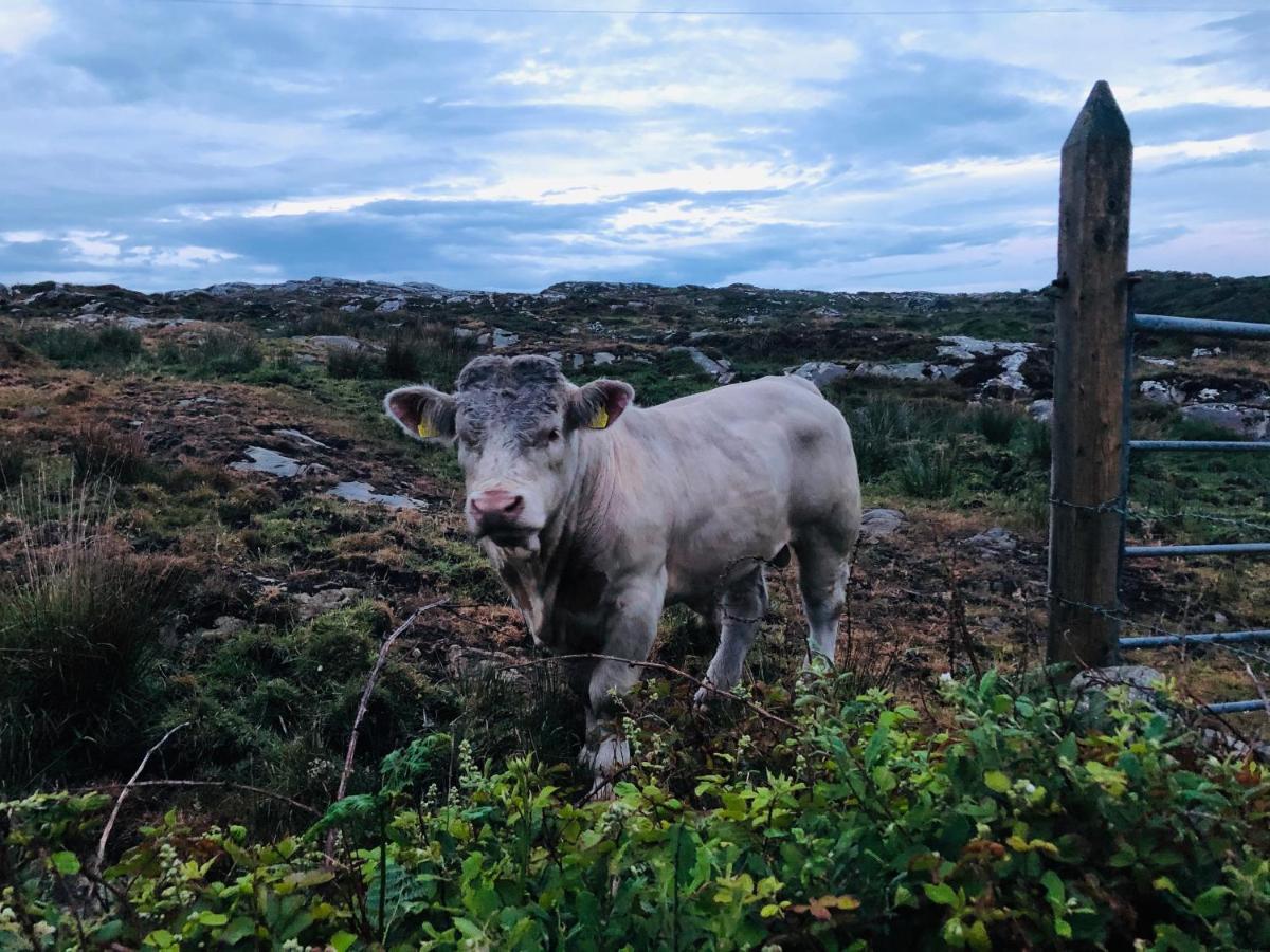Connemara Sands Hotel & Spa كليفدين المظهر الخارجي الصورة