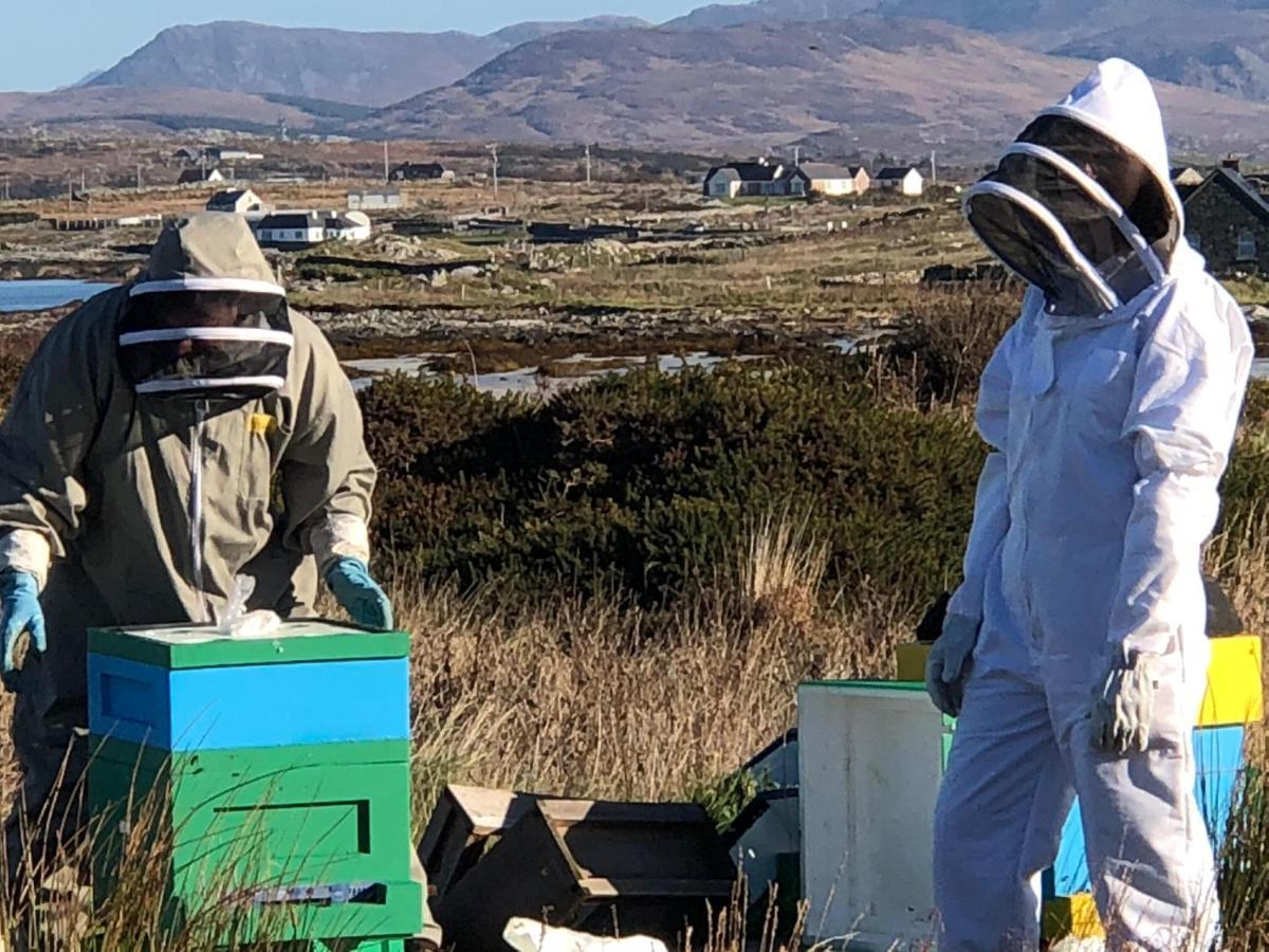 Connemara Sands Hotel & Spa كليفدين المظهر الخارجي الصورة